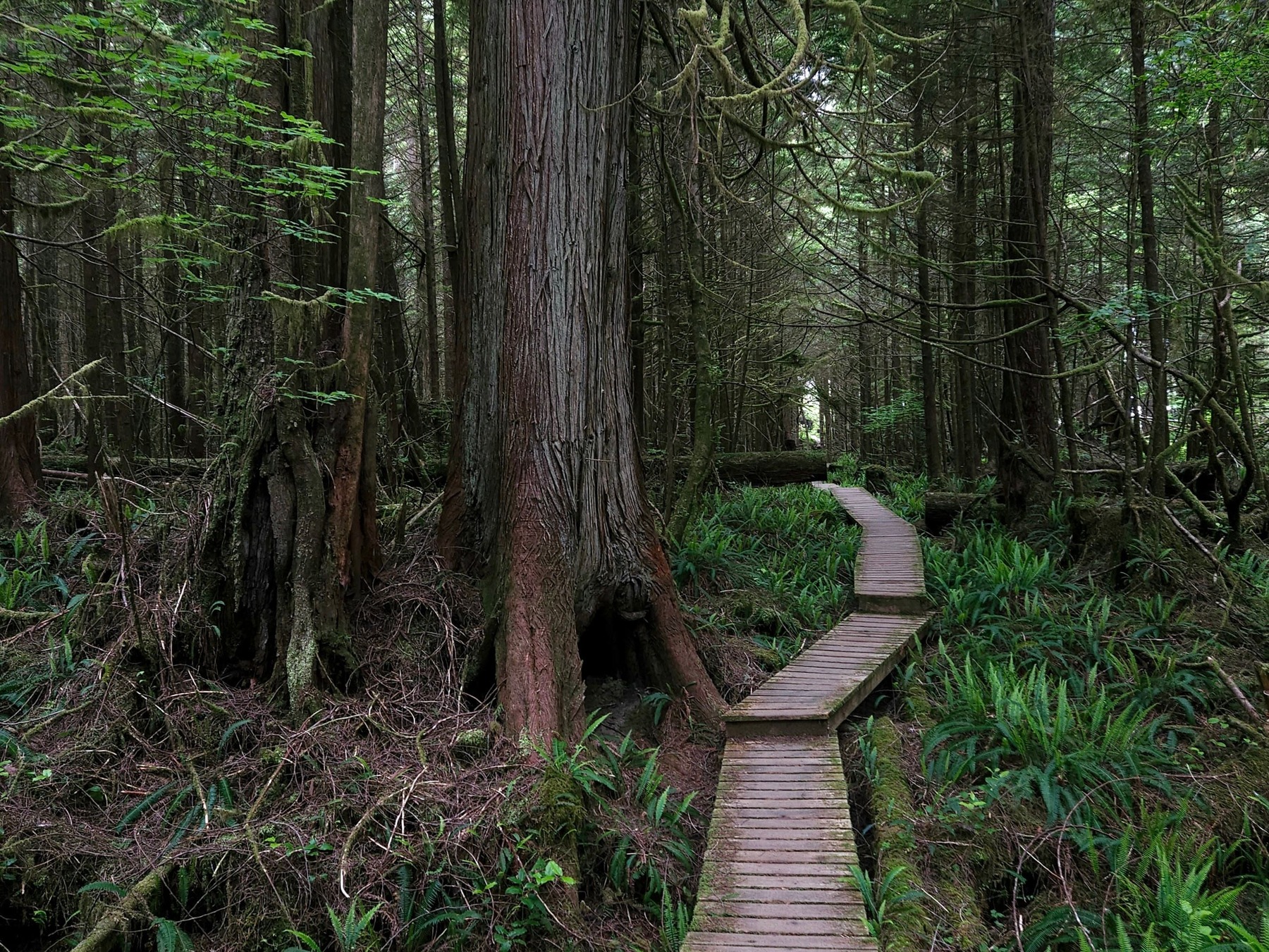 5 jours sur le West Coast Trail : récit de l'une des plus belles aventures de ma vie