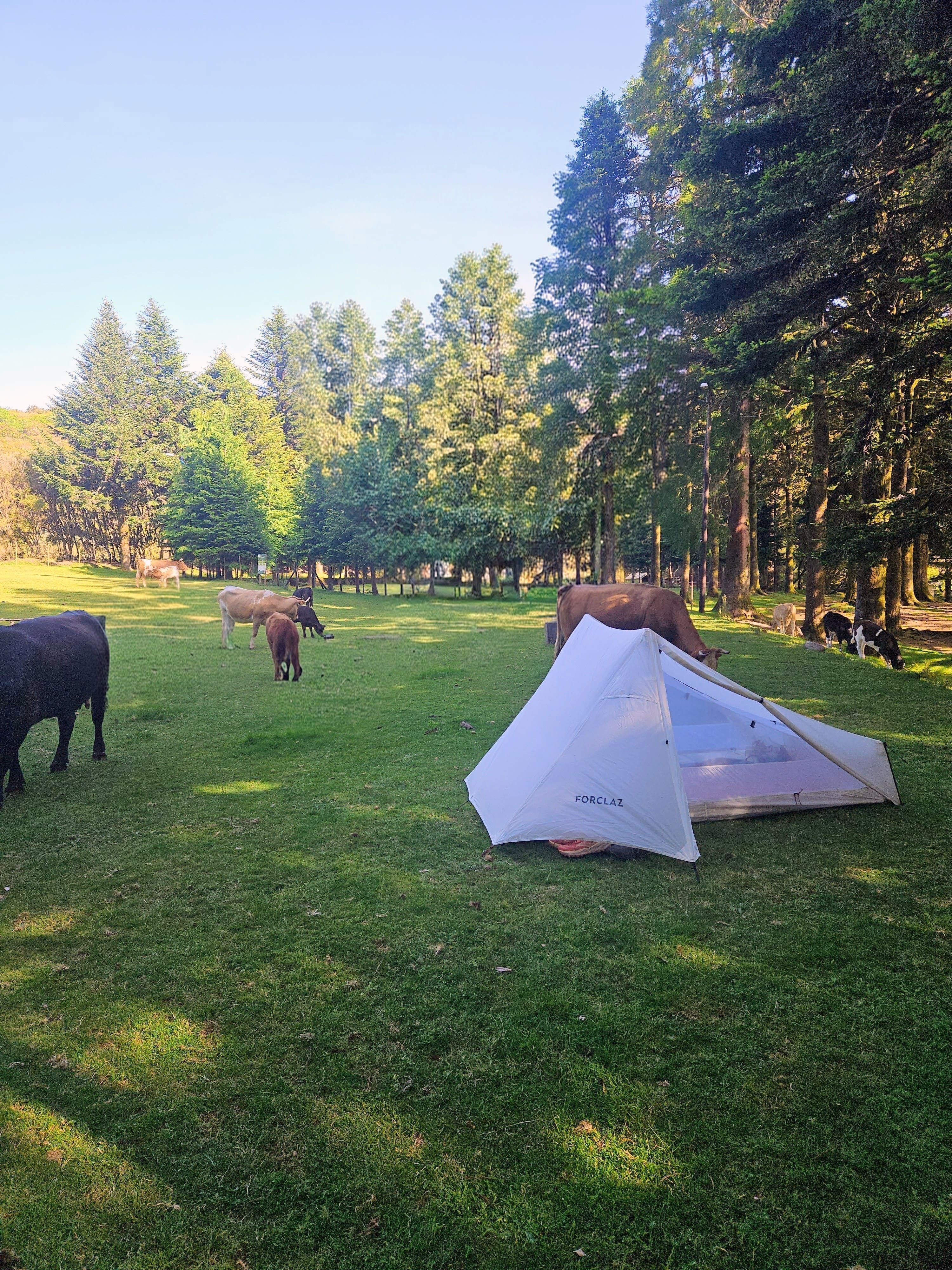 Un bivouac en bonne compagnie