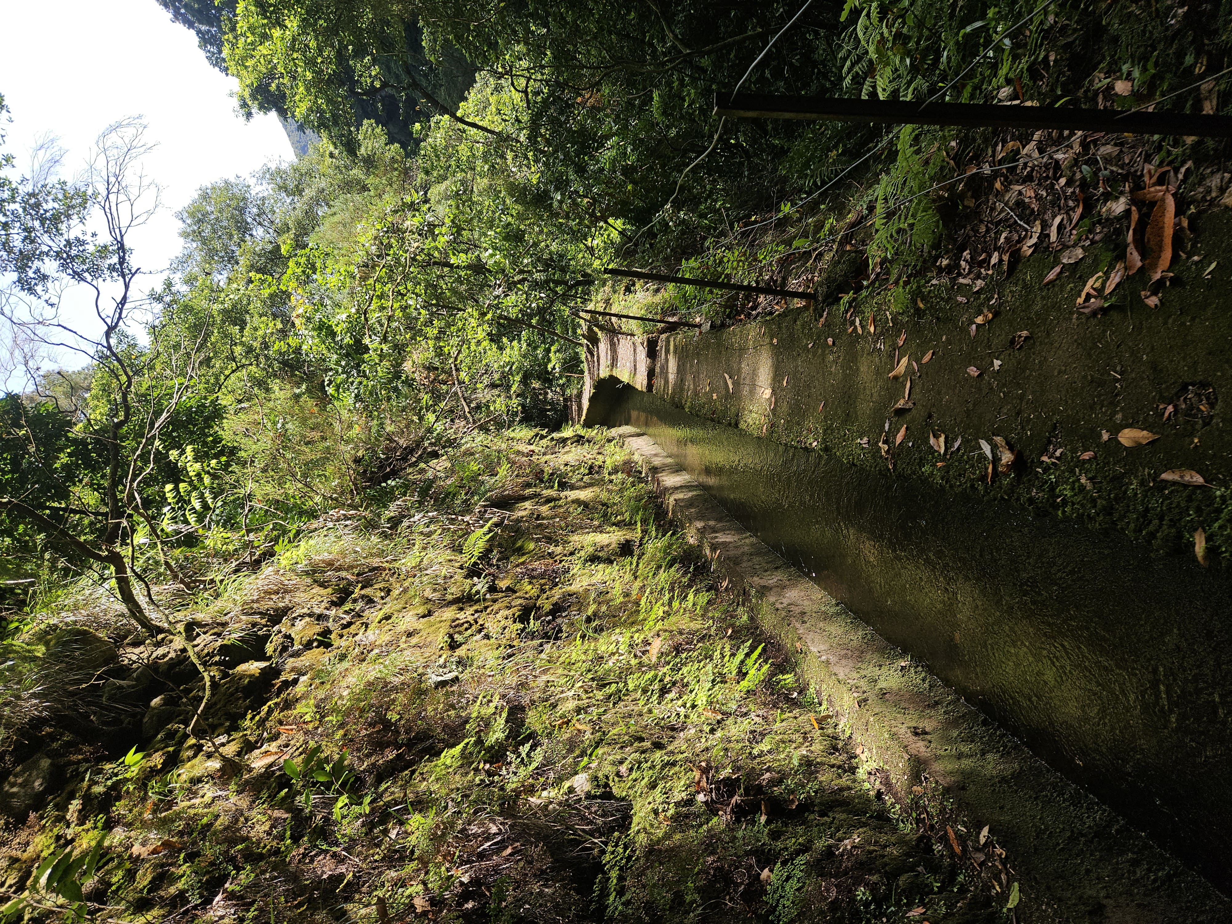 Levada da Ribeira da Janela